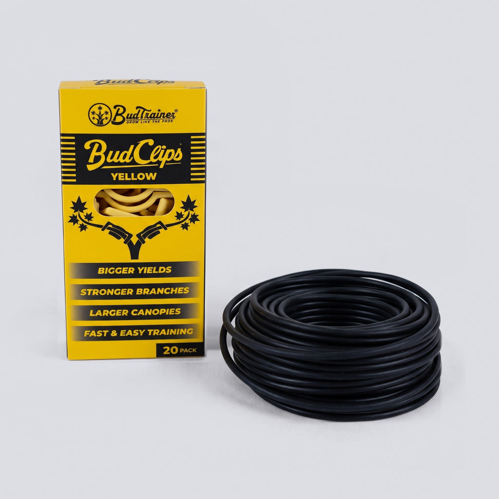 Clip and Wire Starter Pair: a 20-pack of yellow plant training clips in its carton and a coil of black soft garden wire