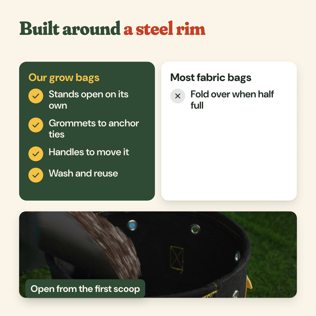 Grow bags built around a steel rim compared with ordinary fabric bags