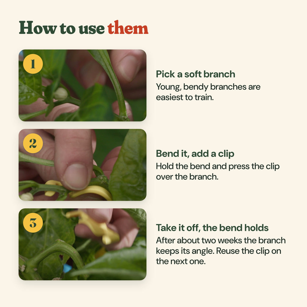 How to use the clips: bend the branch gently, squeeze the clip on, it holds the angle