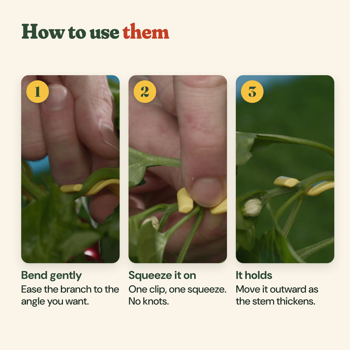 How to use the clips: bend the branch gently, squeeze the clip on, it holds the angle