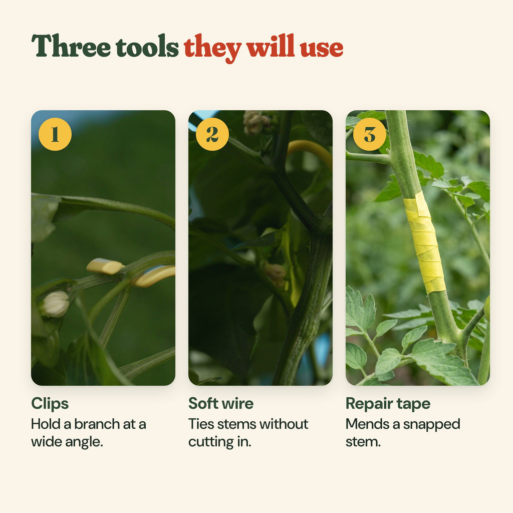 Three tools in the set: clips hold a branch at a wide angle, soft wire ties stems without cutting in, repair tape mends a snapped stem