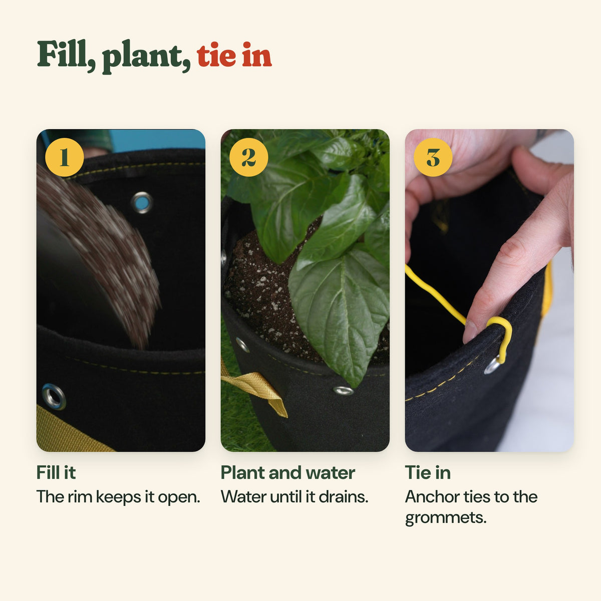 How to use the grow bags: fill it, plant and water, tie stems to the grommets