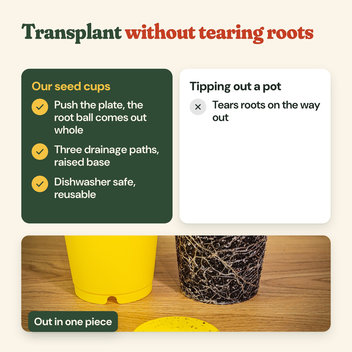 Push-out seed cups compared with tipping a seedling out of a pot