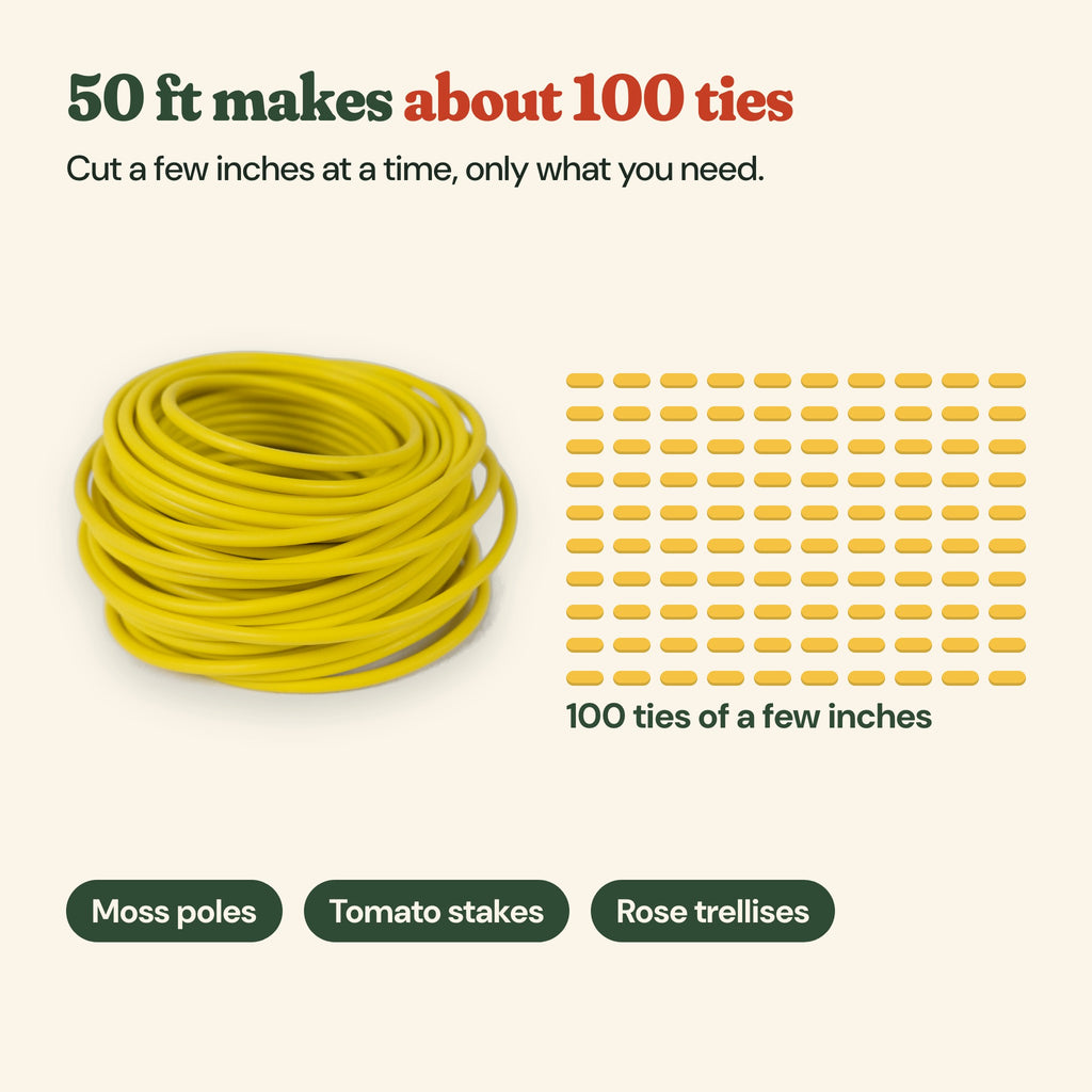 A 50 ft coil of soft garden wire makes about 100 ties of a few inches